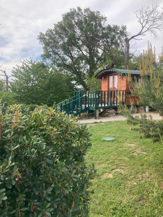 Вилла Domaine La Carriere Toulon-sur-Allier Экстерьер фото